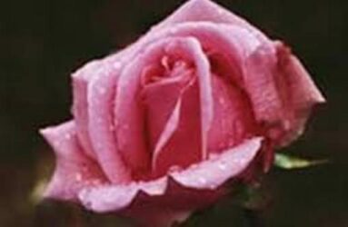 Penagobatan Gratis Bulan Suro 2015